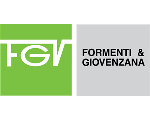 fgv-f1.png